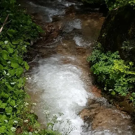 Ferienhaus Snow Angel