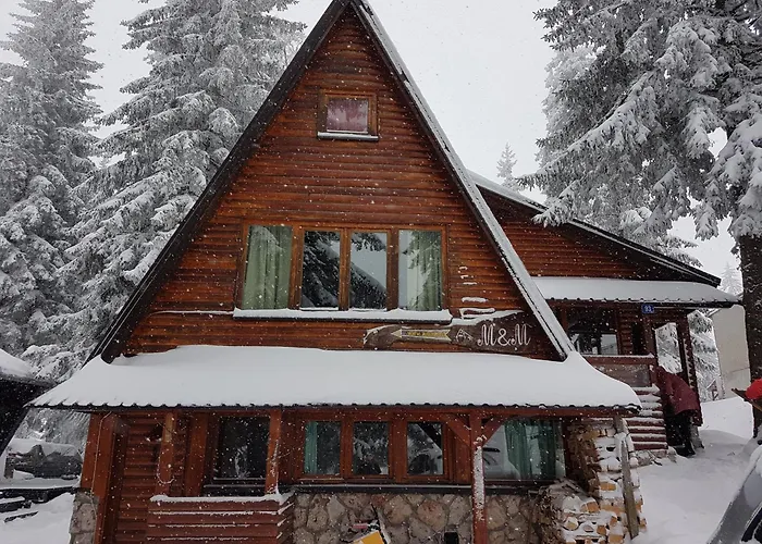 度假居 Snow Angel 亚霍里纳