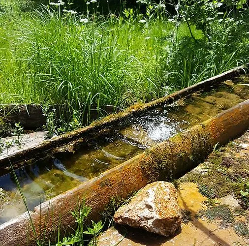 Snow Angel 度假居