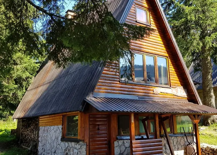 Snow Angel 亚霍里纳