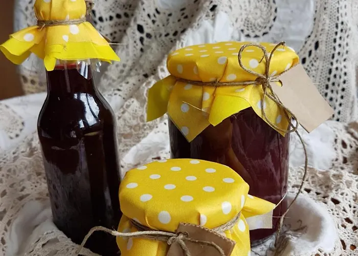 Snow Angel * 亚霍里纳