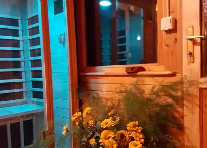 Snow Angel * 亚霍里纳